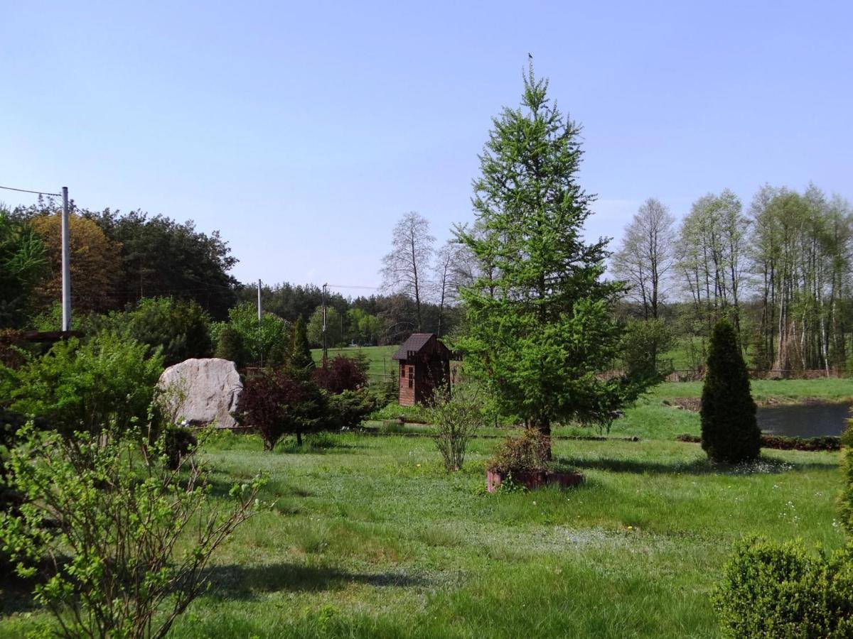 Gospodarstwo Agroturystyczne Zasadkowe Bory Rogowo  Экстерьер фото