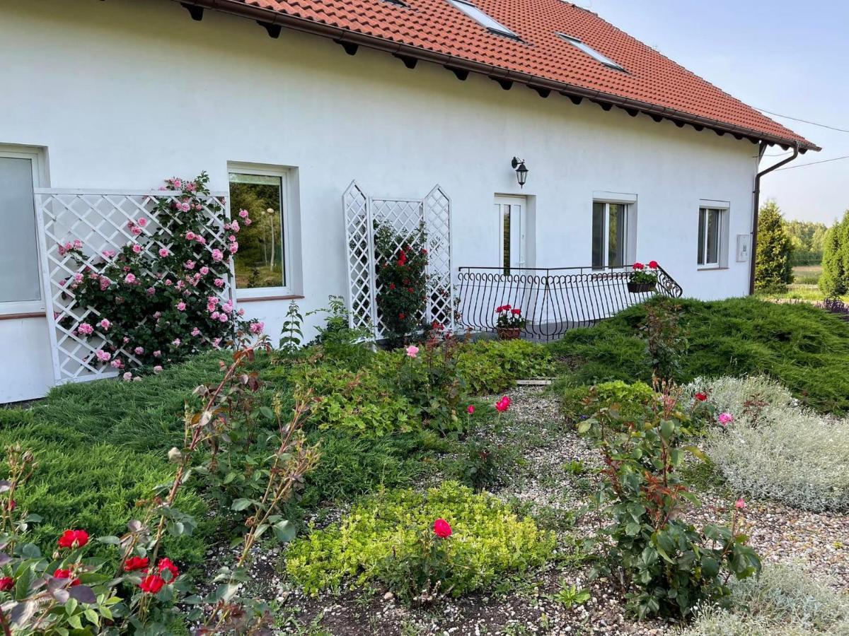 Gospodarstwo Agroturystyczne Zasadkowe Bory Rogowo  Экстерьер фото